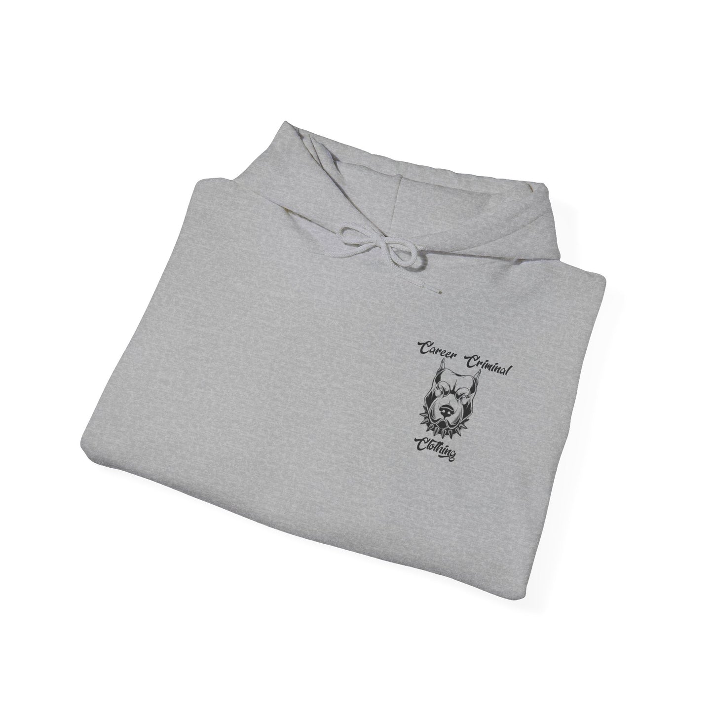 'Shoot Your local pedophile' Hoodie